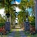 The entrance to Nevis Botanical Gardens, featuring a gate flanked by stone lion statues and a road lined with palm trees